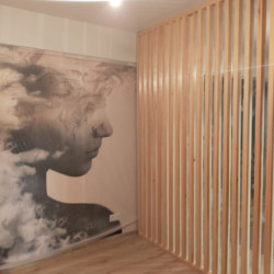 Декоративные рейки для стен из дерева